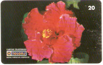 RJ-0468M - Hibiscus B1 - 16/20