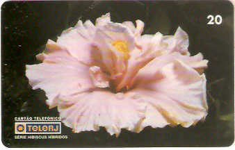 RJ-0472M - Hibiscus B1 - 18/20