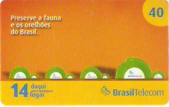 RSC07-12 - Tartarugas