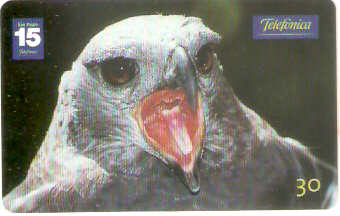 SP-1349 - Animais Silvestres - 26/26