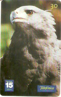 SP-1348 - Animais Silvestres - 25/26