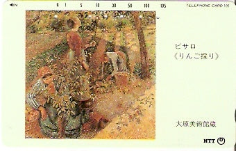 JAP-351-202