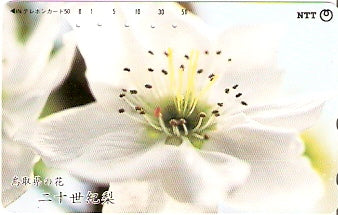 JAP-351-218