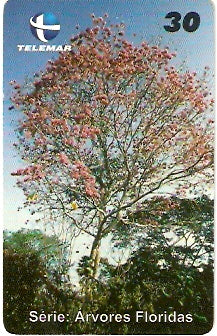 CE-308 - Pau d'Arco Roxo