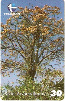 CE-310 - Mulungu