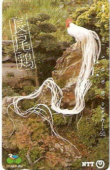 JAP-370-066