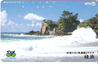 JAP-371-005