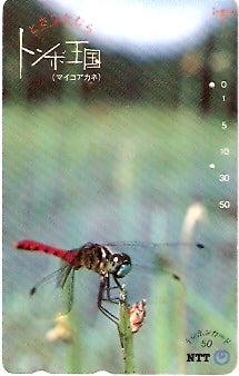JAP-371-053