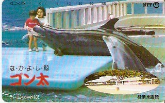 JAP-371-044