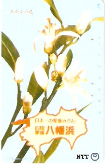 JAP-371-073