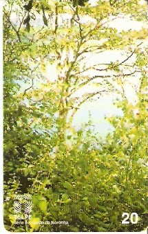 PE-128 - Pernambuco - 20