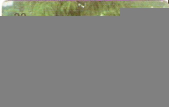 CE-102 - Praça Gal. Tibúrcio