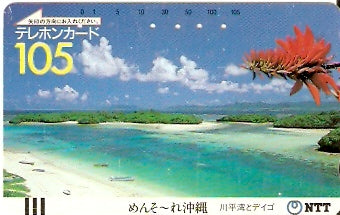 JAP-390-022