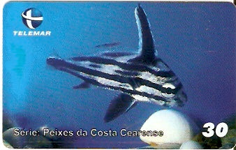 CE-418 - Equetus Acuminatus