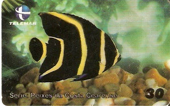 CE-422 - Parú (Filhote)