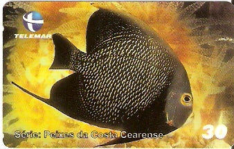 CE-423 - Parú (Adulto)