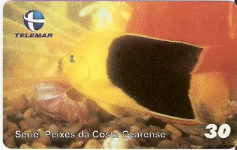 CE-424 - Tricolor