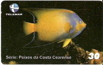CE-425 - Anjo