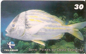 CE-427 - Frade
