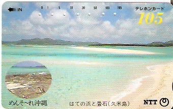 JAP-390-219