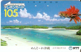 JAP-390-361