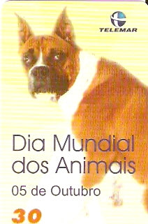 PE-255 - Dia Mundial dos Animais