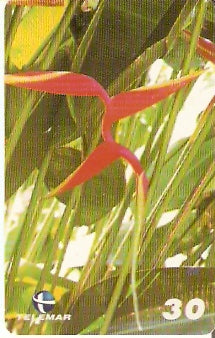 PE-308 - Flores - 5/5