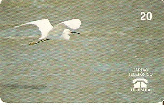 PA-003 - Garça Branca