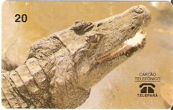 PA-005 - Jacaretinga