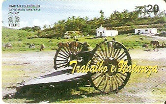 PE-027 - Trabalho e Natureza