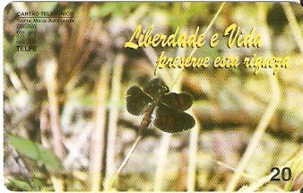 PE-028 - Libélula