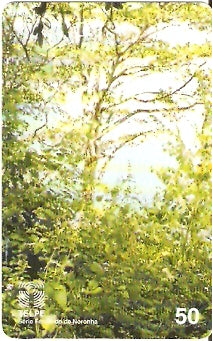 PE-129 - Pernambuco - 50