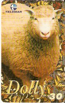 PE-341 - Dolly