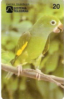 CE-020 - Periquito Manga