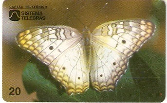 CE-054 - Borboleta