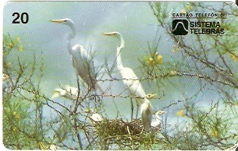 CE-046 - Garça Branca