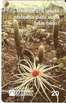 CE-085 - Flor do Croatá