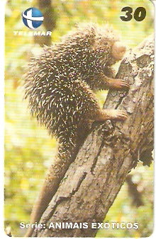CE-232 - Animais Exóticos - 03/11