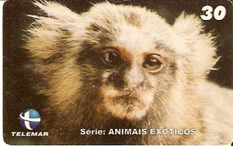 CE-230 - Animais Exóticos - 01/11