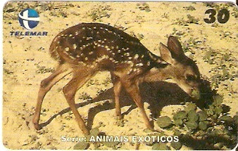 CE-234 - Animais Exóticos - 05/11