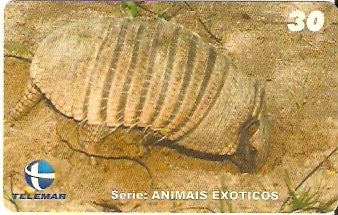 CE-233 - Animais Exóticos - 04/11