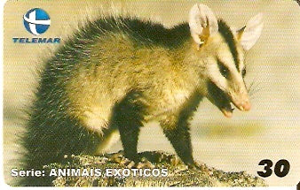 CE-277 - Animais Exóticos - 11/11
