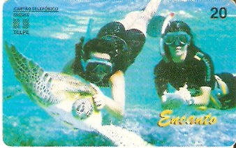 PE-040 - Projeto Tamar