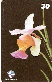 RN-129 - Orquídea - Vanda Peres