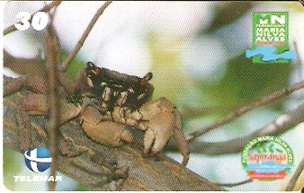 CE-473 - Aratu