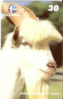 CE-478 - Caprinos - 4/9