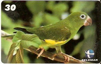 CE-500 - Periquito
