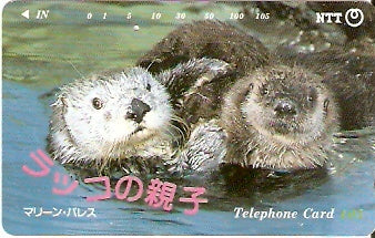 JAP-391-080