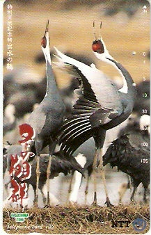 JAP-391-117