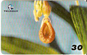 BA-162 - Orquídeas - 03/10